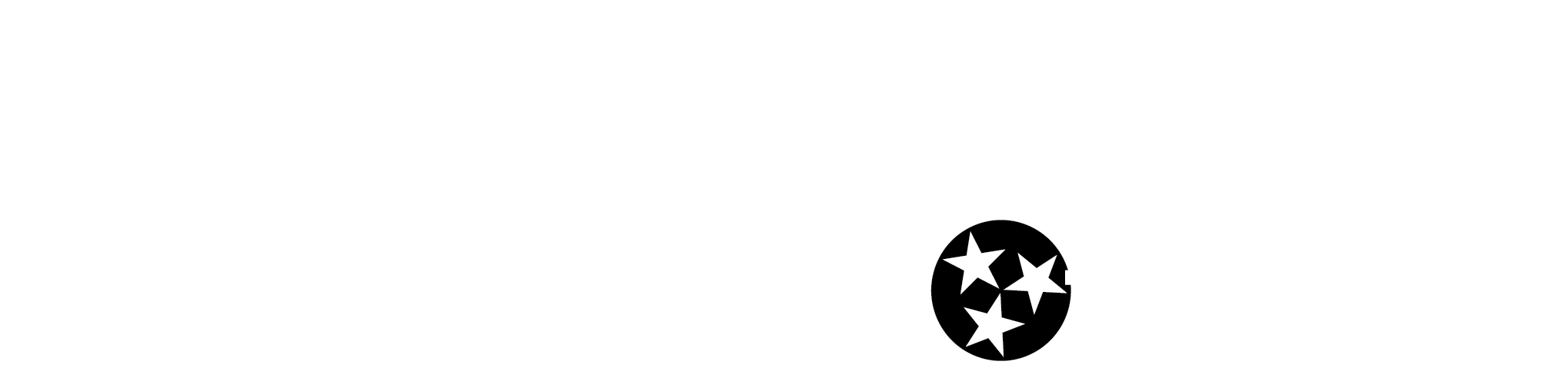 Tennessee Surplus Lines Office logo
