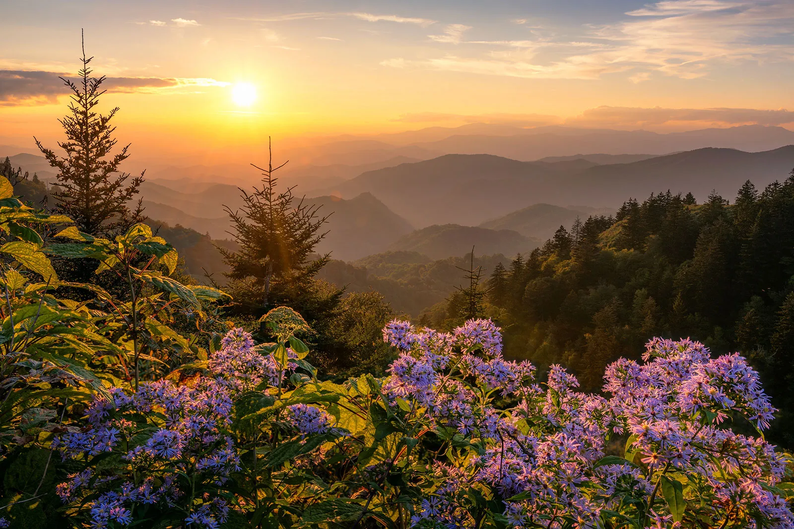 Smoky Mountains National park